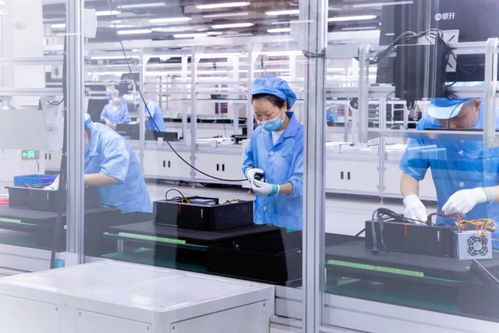 武漢黃陂 打造科技創新應用承載區，推動細胞技術研發與應用成果孵化